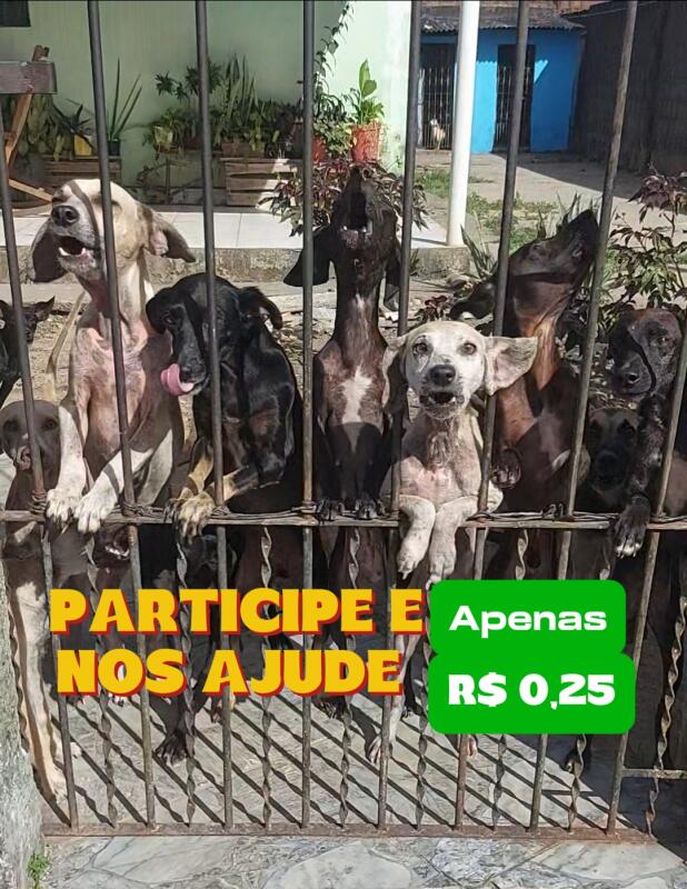 R$ 50 MIL para Você na VIRADA do ANO